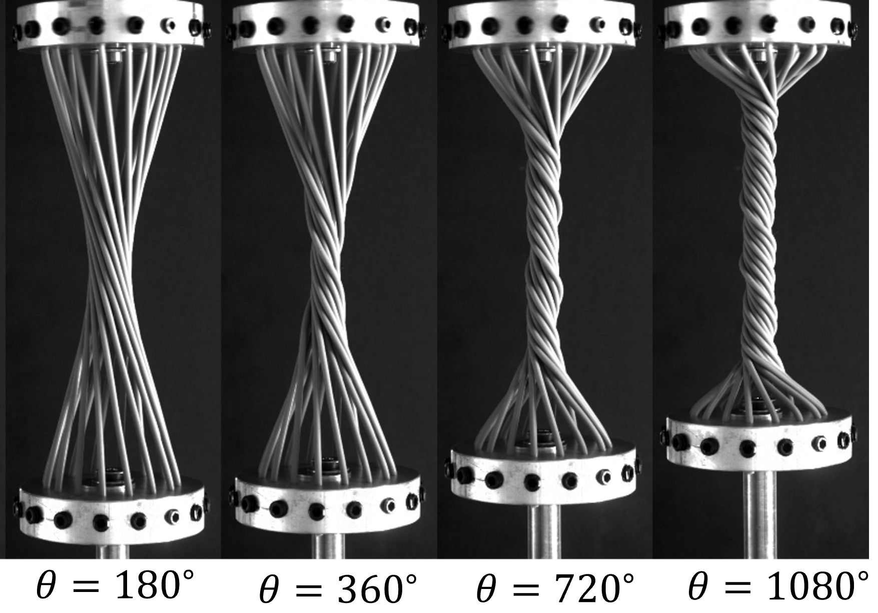 Twisted filaments