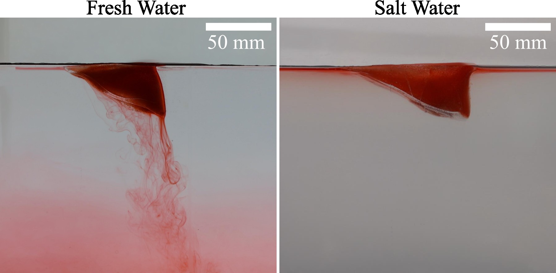 Dye visualization of meltwater flow around a melting ice block